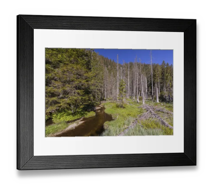 Framed Print : Lake GroBer Arbersee in spring