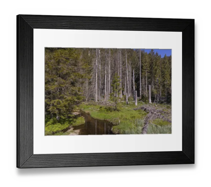 Framed Print : Lake GroBer Arbersee in spring