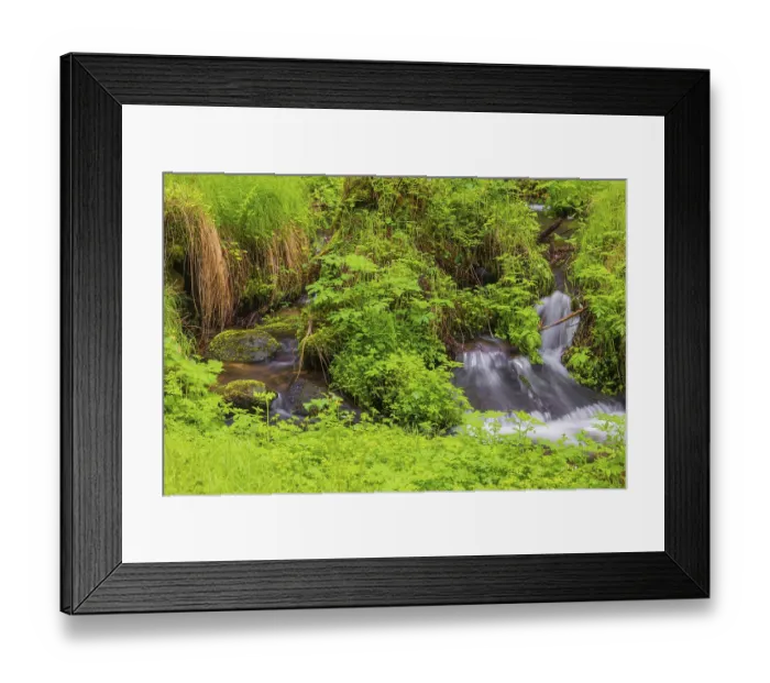 Framed Print : Little creek in the Bavarian Forest Nationalpark
