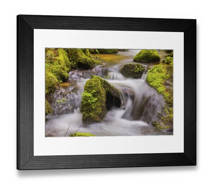 Framed Print : Little creek in the Bavarian Forest Nationalpark Framed Print : Little creek in the Bavarian Forest Nationalpark