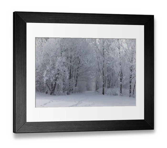 Framed Print : Lake Kochelsee in Bavaria, Germany Framed Print : Lake Kochelsee in Bavaria, Germany