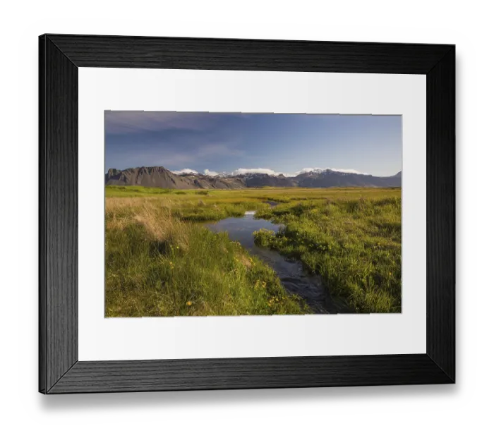 Framed Print : Wet flowering meadow at Ytri Tunga Framed Print : Wet flowering meadow at Ytri Tunga