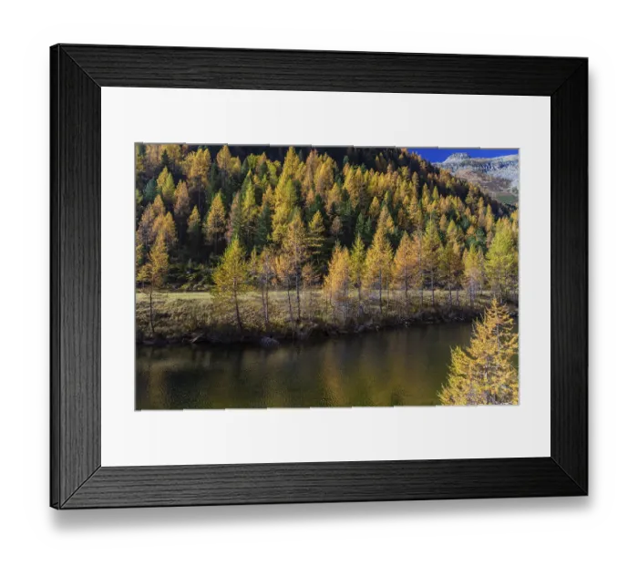 Framed Print : Fall foliage seen from the Malta Hochalm road