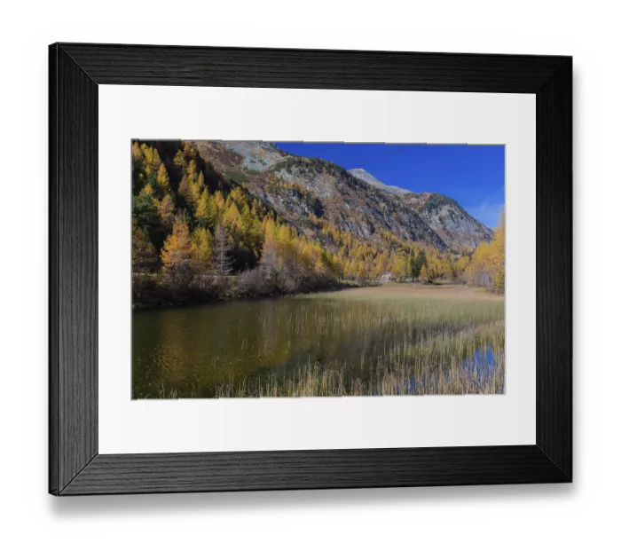 Framed Print : Fall foliage seen from the Malta Hochalm road