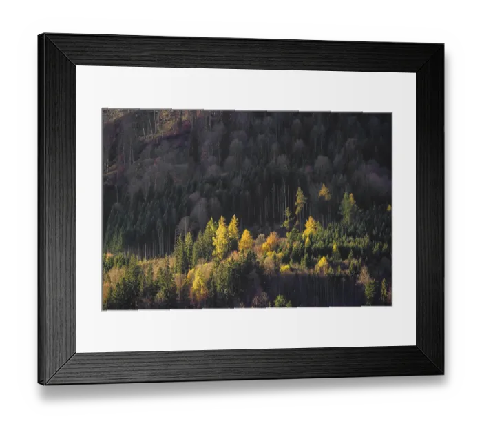 Framed Print : Murnau Moss, Murnauer Moos, a wetland close to Murnau