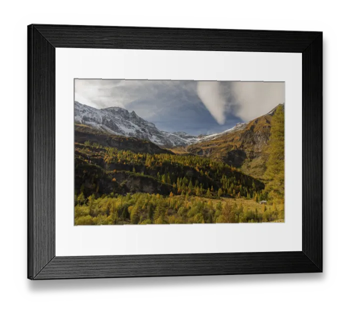 Framed Print : View of an autumnal mountain forest on a bright and sunny evening