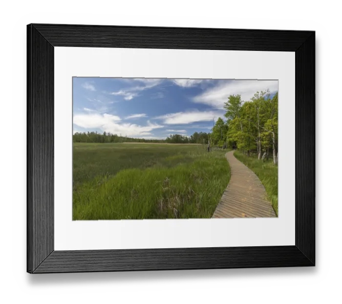 Framed Print : Boardwalk thru a volcanic active area with mofette Framed Print : Boardwalk thru a volcanic active area with mofette