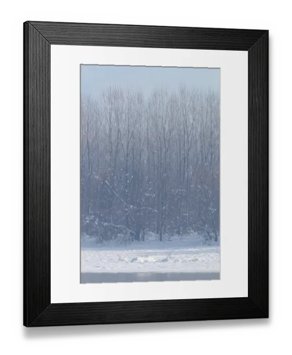 Framed Print : Frozen lake in forest. winter lake under snow