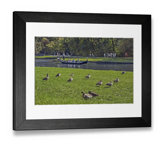 Framed Print : Gondola grey geese and visitors in Nymphenburg Palace Park