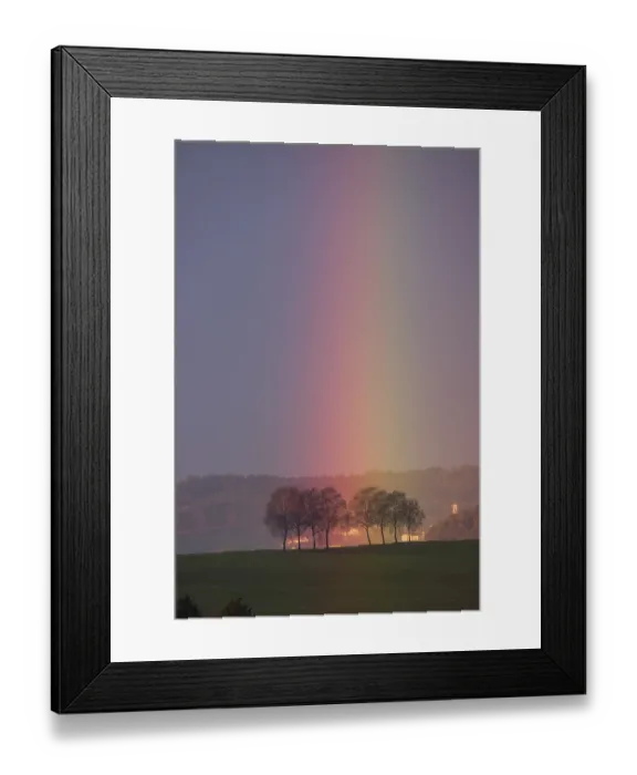 Framed Print : Rainbow touches a group of trees Framed Print : Rainbow touches a group of trees