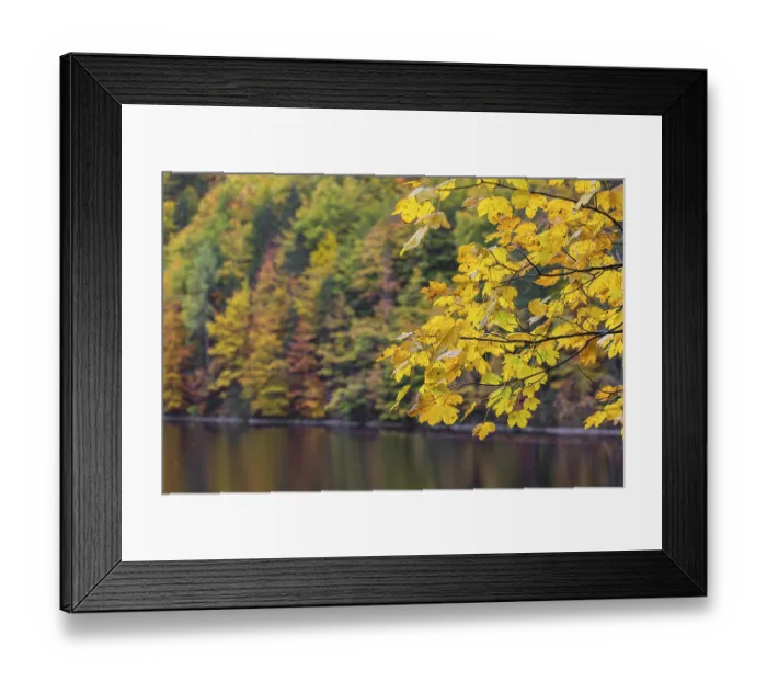 Framed Print : Lake Toplitz, forest in full autumn colors