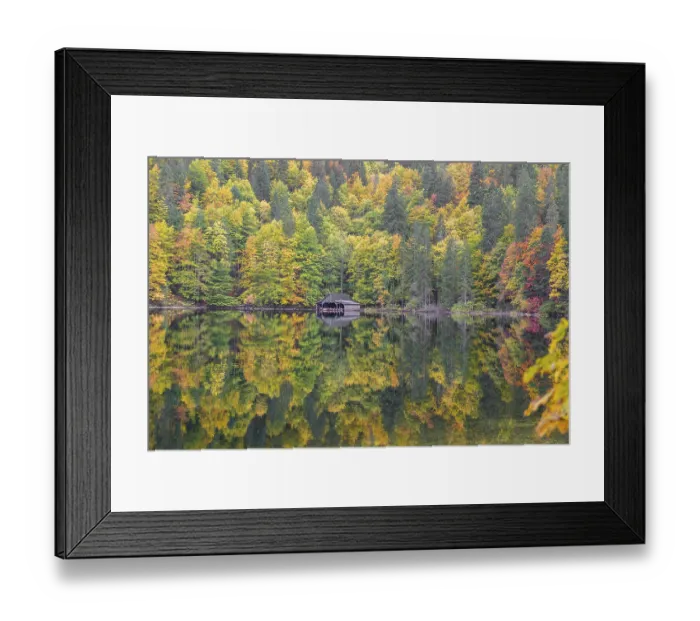 Framed Print : Lake Toplitz, forest in full autumn colors