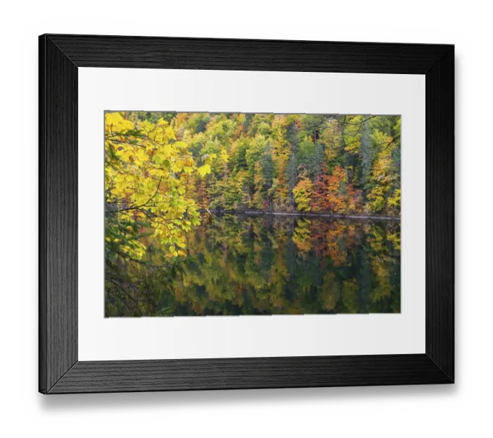 Framed Print : Lake Toplitz, forest in full autumn colors