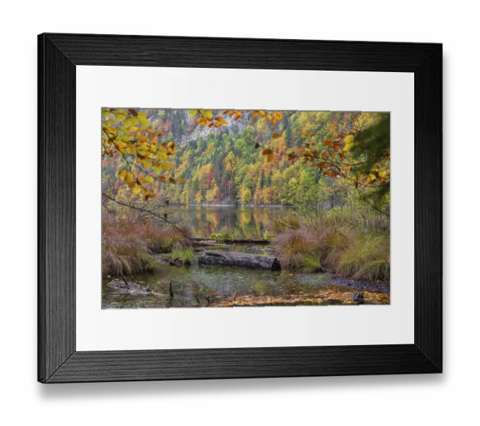 Framed Print : Driftwood on the shore of Lake Toplitz