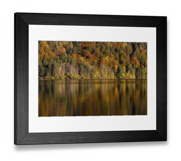 Framed Print : Lake Almsee in autumn with a forest reflected in the lake