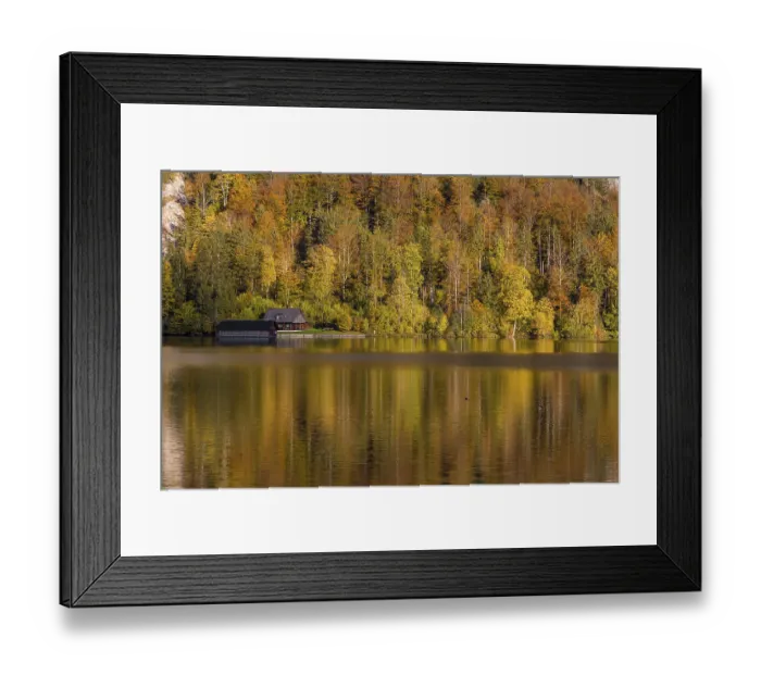 Framed Print : Lake Almsee in autumn with a forest reflected in the lake Framed Print : Lake Almsee in autumn with a forest reflected in the lake