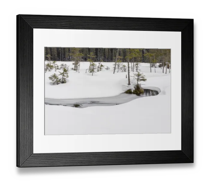 Framed Print : Lake Grosser Arbersee in late winter Framed Print : Lake Grosser Arbersee in late winter