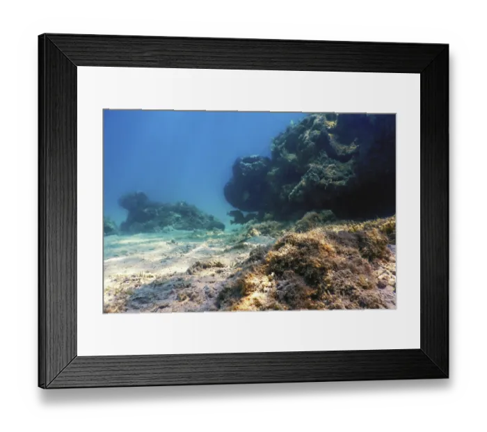 Framed Print : Underwater landscape reef with algae Framed Print : Underwater landscape reef with algae