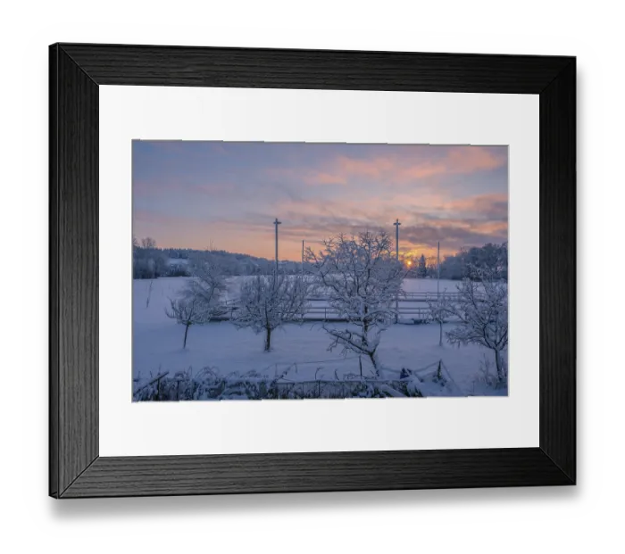 Framed Print : Winter landscape with snow-covered trees and pink sky at sunrise
