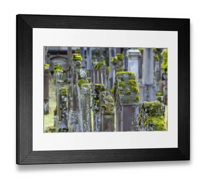 Framed Print : Jewish cemetery with gravestones and grave slabs with green moss