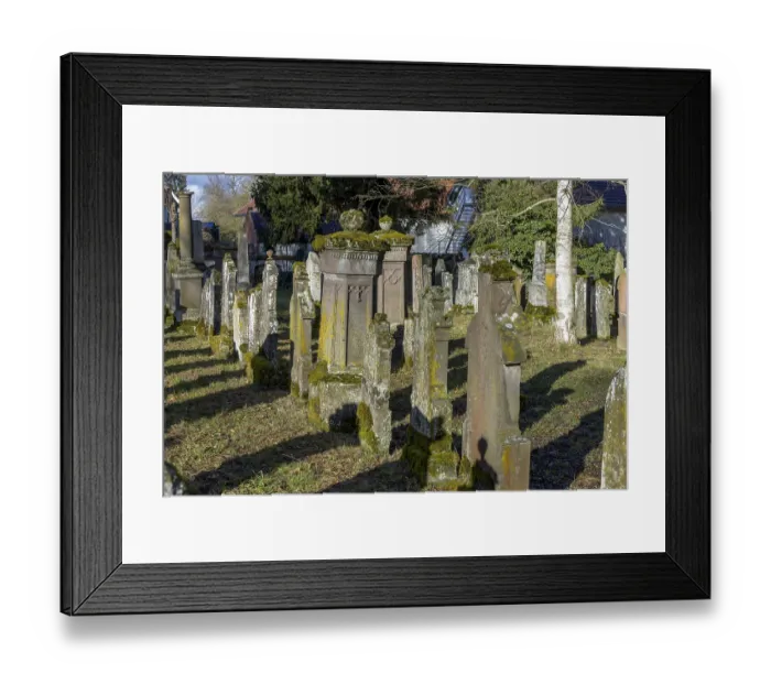 Framed Print : Jewish cemetery with gravestones and grave slabs with green moss Framed Print : Jewish cemetery with gravestones and grave slabs with green moss