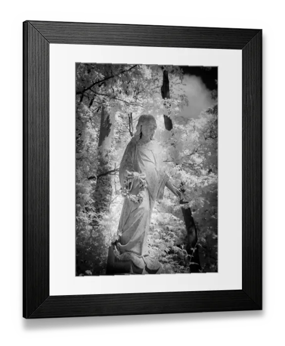 Framed Print : Graves in Highgate Cemetery London in black and white