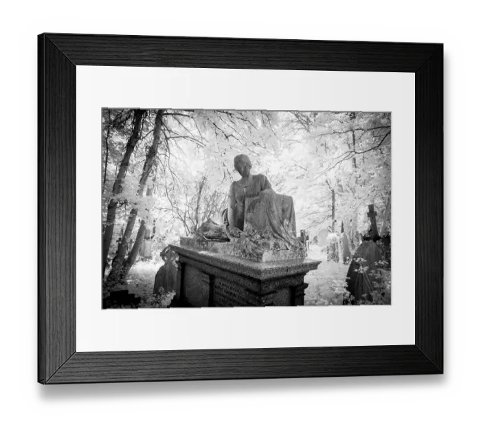 Framed Print : Graves in Highgate Cemetery London in black and white Framed Print : Graves in Highgate Cemetery London in black and white