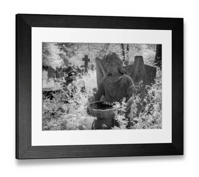 Framed Print : Graves in Highgate Cemetery London in black and white