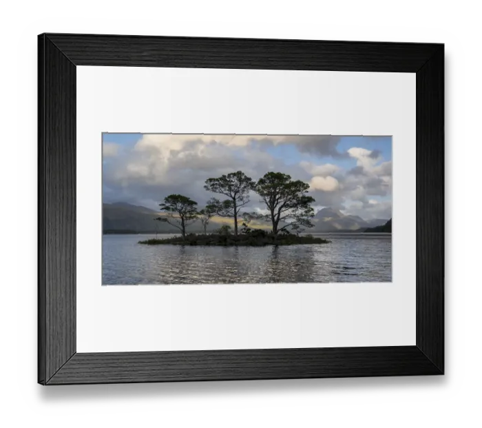 Framed Print : Small island with three Scots pines on Loch Maree