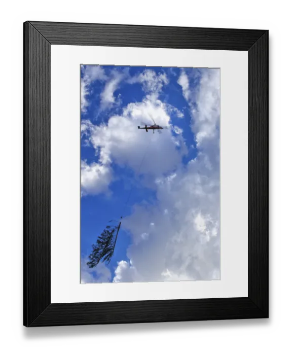 Framed Print : A helicopter transports a tree through a cloudy sky