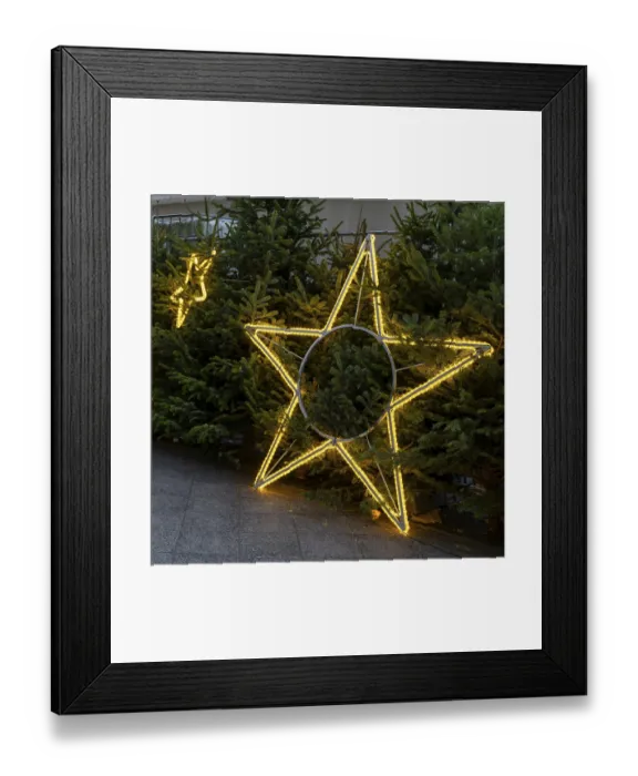 Framed Print : Luminous stars in front of Christmas trees Framed Print : Luminous stars in front of Christmas trees