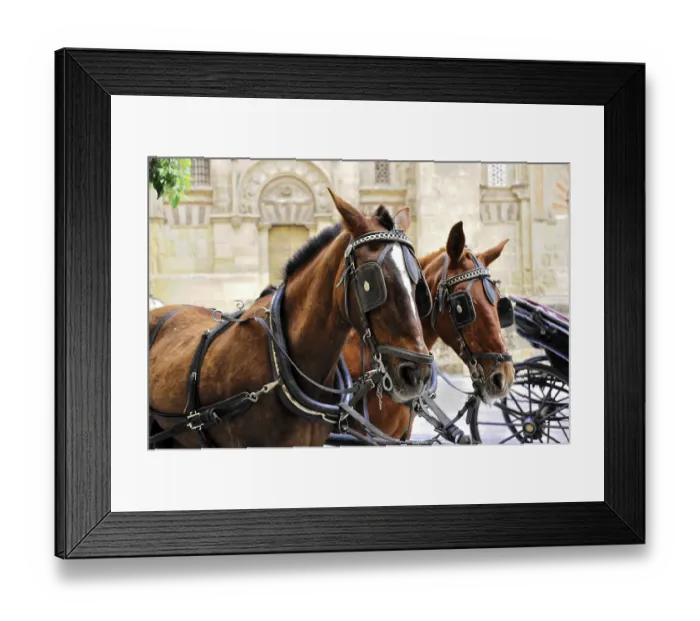 Framed Print : Cordoba, Andalusia, Spain, Europe