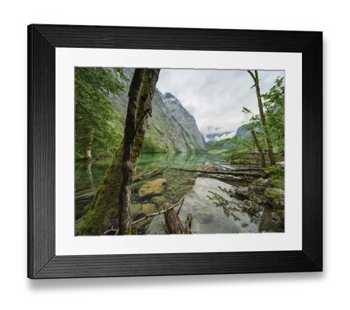 Framed Print : Untouched nature on the shore of the Obersee