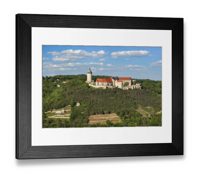Framed Print : View of Neuenburg Castle and vineyards Framed Print : View of Neuenburg Castle and vineyards