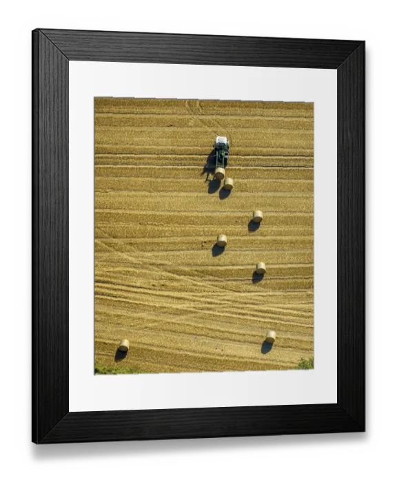 Framed Print : Aerial view, field work, tractor with hay bales in a field