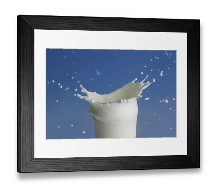 Framed Print : Drink, milk splashing out of glass on blue background Framed Print : Drink, milk splashing out of glass on blue background