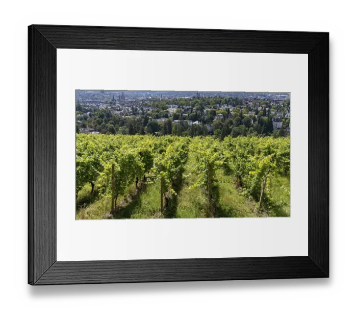 Framed Print : View of vineyards and villas from the Neroberg Framed Print : View of vineyards and villas from the Neroberg