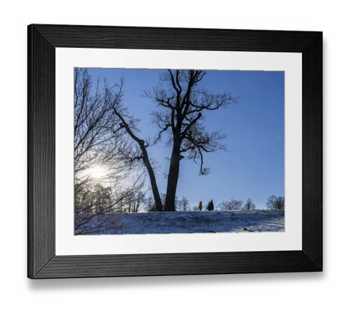 Framed Print : Park Babelsberg, winter impressions
