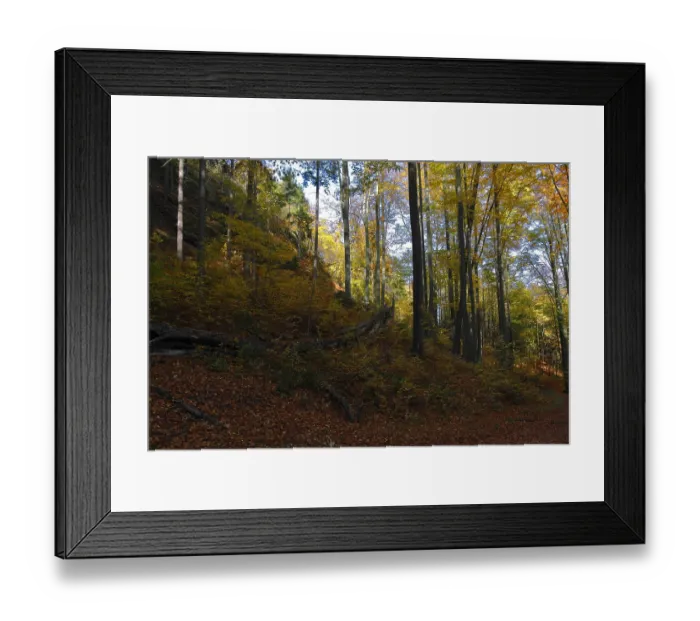 Framed Print : Autumn forest in Saxon Switzerland Framed Print : Autumn forest in Saxon Switzerland