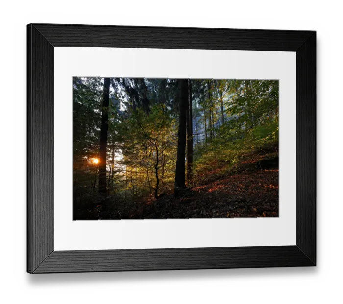 Framed Print : Autumn forest in Saxon Switzerland Framed Print : Autumn forest in Saxon Switzerland