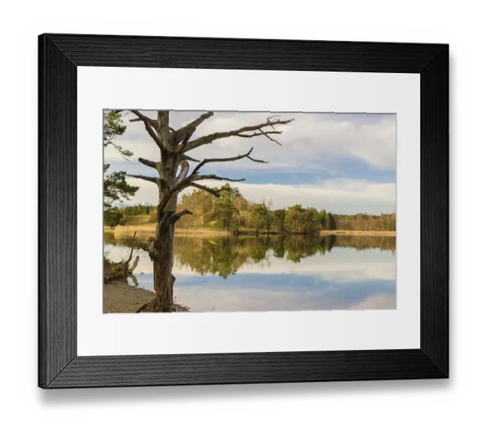 Framed Print : Lake Fohnsee of the Ostersee-group in early morning light