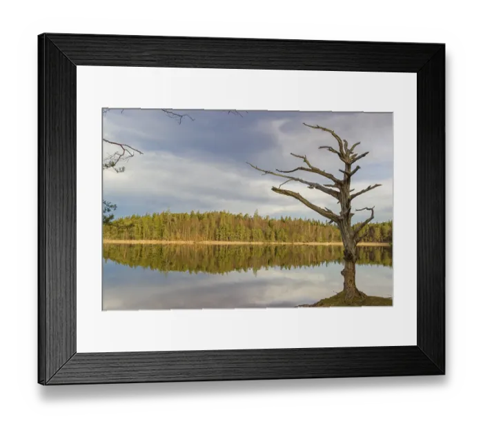 Framed Print : Lake Fohnsee of the Ostersee-group in early morning light