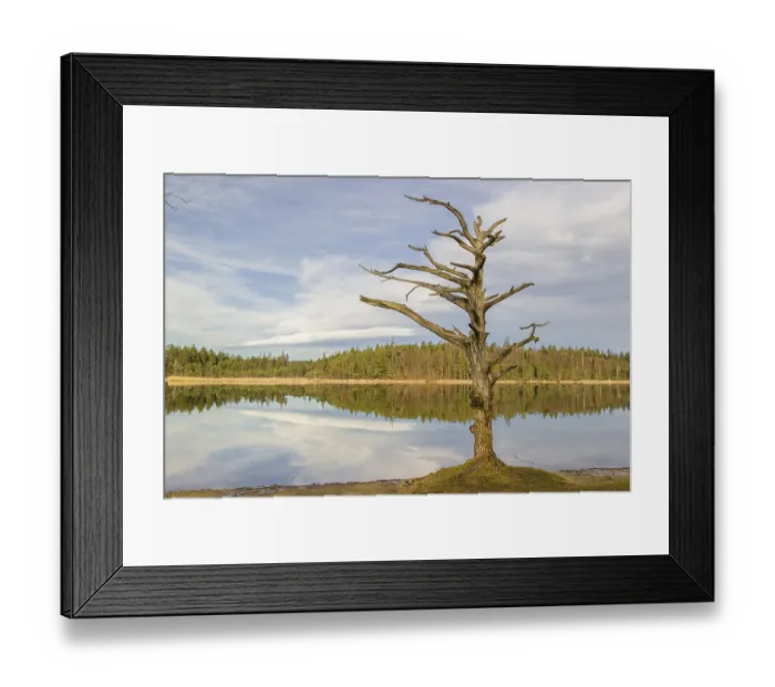 Framed Print : Lake Fohnsee of the Ostersee-group in early morning light Framed Print : Lake Fohnsee of the Ostersee-group in early morning light