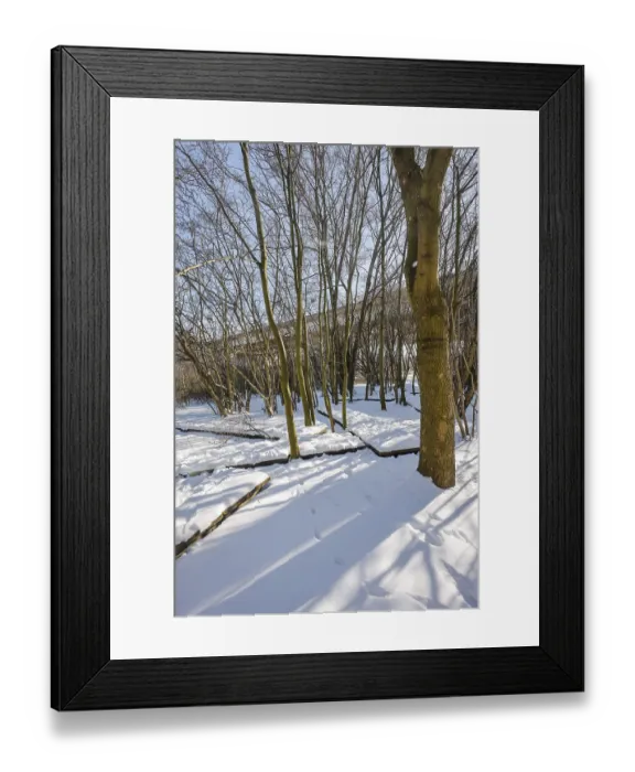 Framed Print : Dortmund, North Rhine-Westphalia