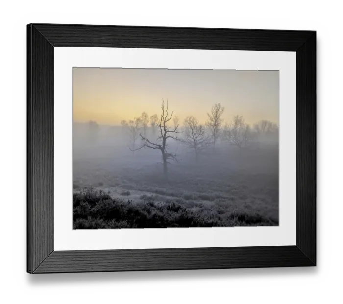 Framed Print : Hiking trails in the fog in the Fischbeker Heide in Hamburg