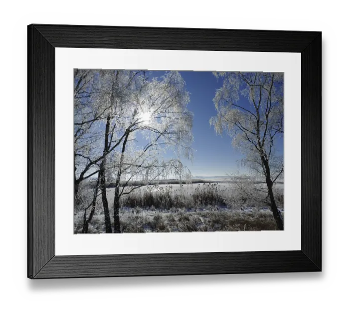 Framed Print : Winter in heavy frost through the Elbe valley Framed Print : Winter in heavy frost through the Elbe valley