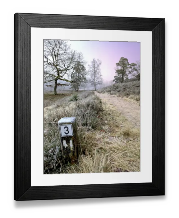 Framed Print : Hiking in winter in the frost in the Fischbeker Heide in Hamburg