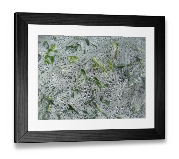 Framed Print : Dense green vegetation detail under clear plastic film with dew drops
