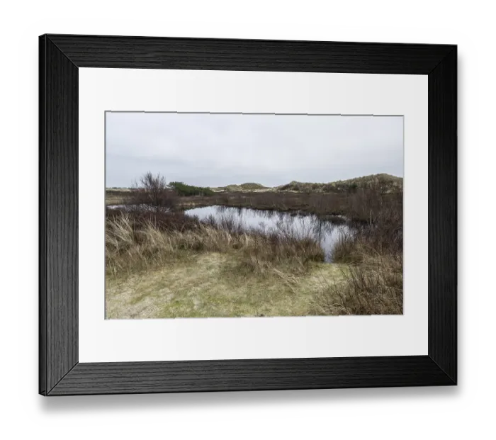 Framed Print : Dune landscape, Amrum, Schleswig-Holstein, Germany
