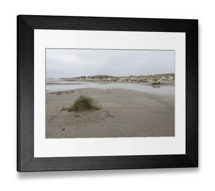 Framed Print : Wadden Sea with dunes, Amrum, Schleswig-Holstein Framed Print : Wadden Sea with dunes, Amrum, Schleswig-Holstein
